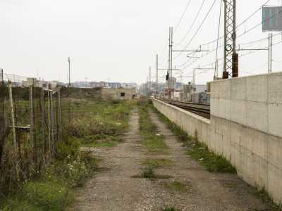 Rieccoci nel tratto invaso dalla vegetazione di strada Zuccararo (foto di Stefania Buono)